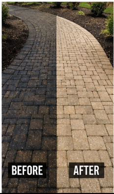 Before and after paver walkway cleaning